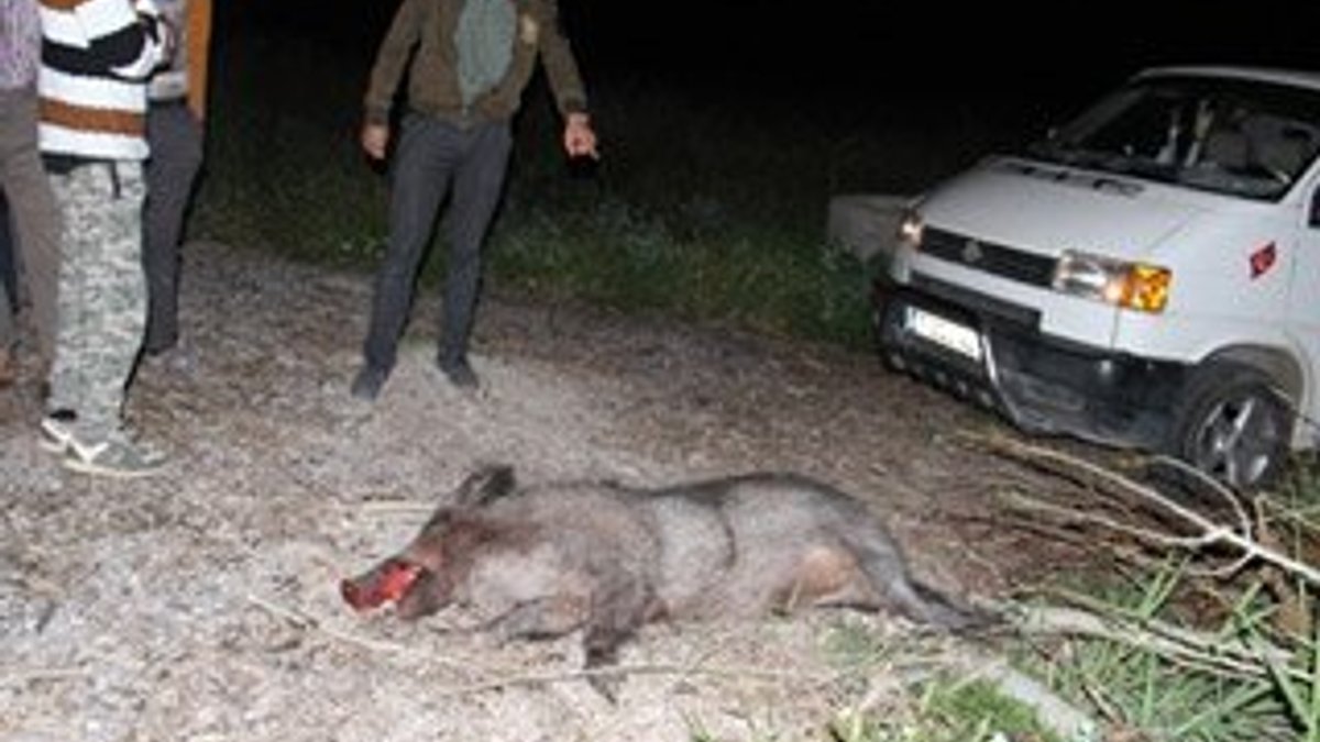 Konya’da yaban domuzuna çarpan araç devrildi: 5 yaralı