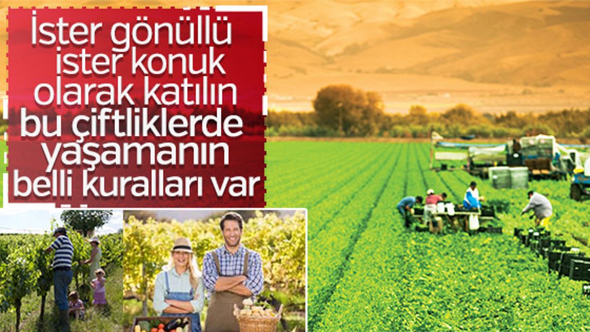 Türkiye’de ekolojik yaşam çiftlikleri