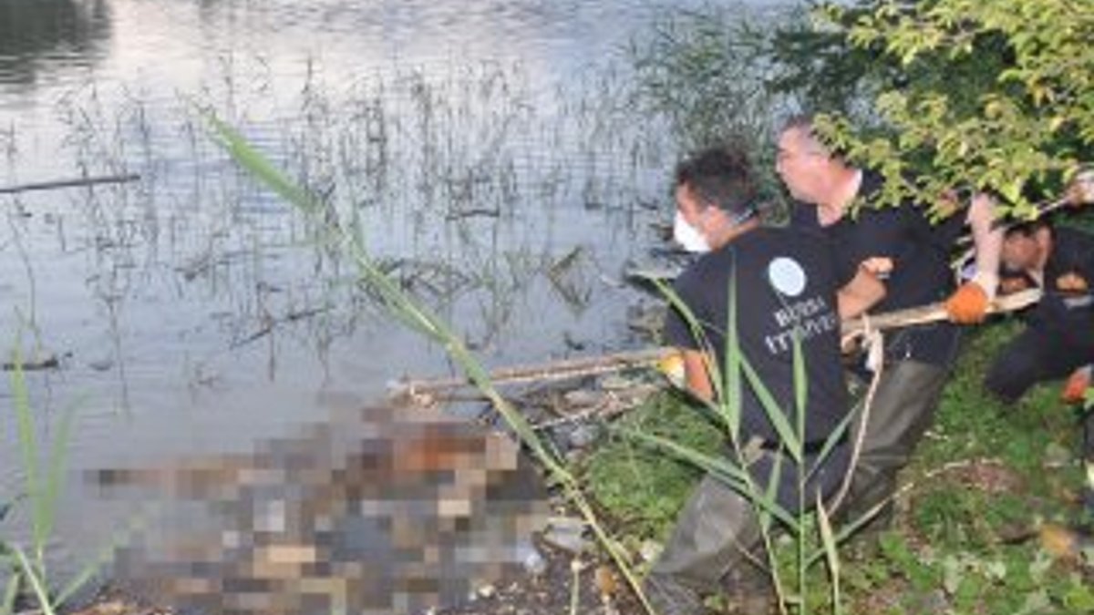Bursa'da balık avlarken ceset buldu