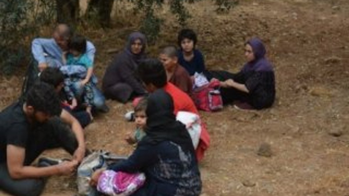 Çanakkale'de 20 kaçak göçmen yakalandı