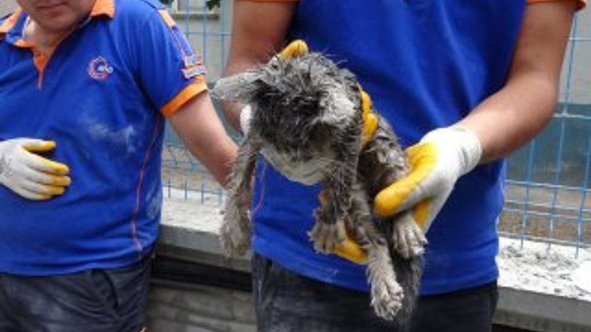 1,5 metrelik kablo borusuna sıkışan yavru kedi kurtarıldı