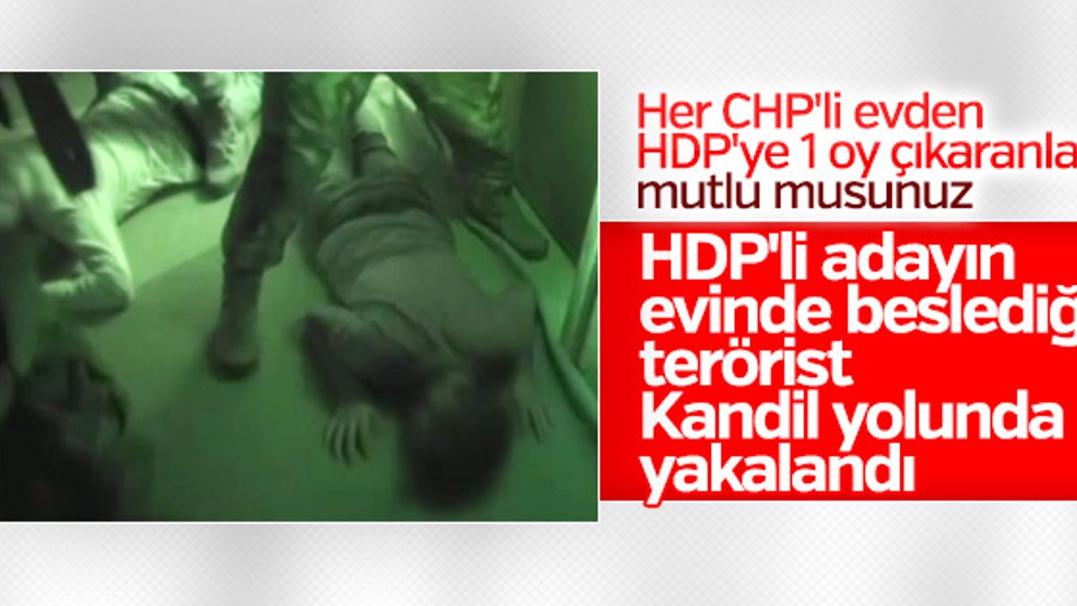 HDP milletvekili adayının evindeki PKK'lı yakalandı