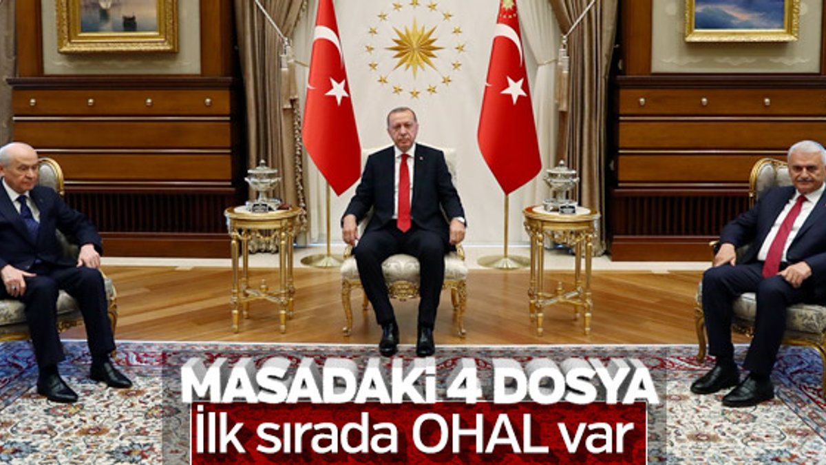 Erdoğan-Bahçeli görüşmesinin detayları