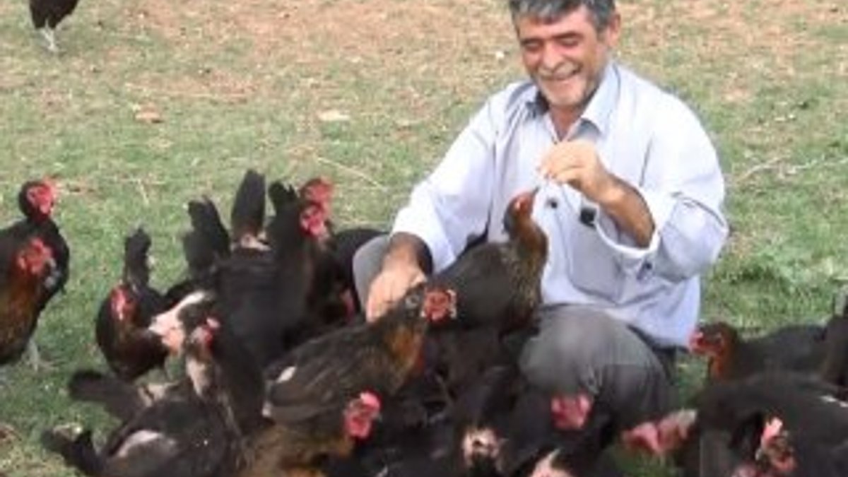 Kırıkkale’de oğlu yumurta yesin diye tavuk çiftliği kurdu