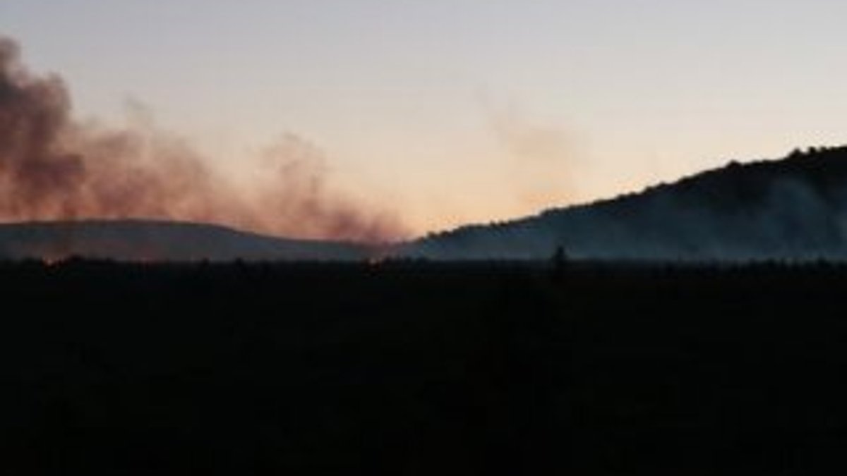 Kartal Aydos Ormanı’nda yangın
