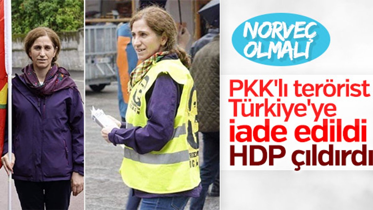 Norveç PKK'lı teröristi Türkiye'ye iade etti