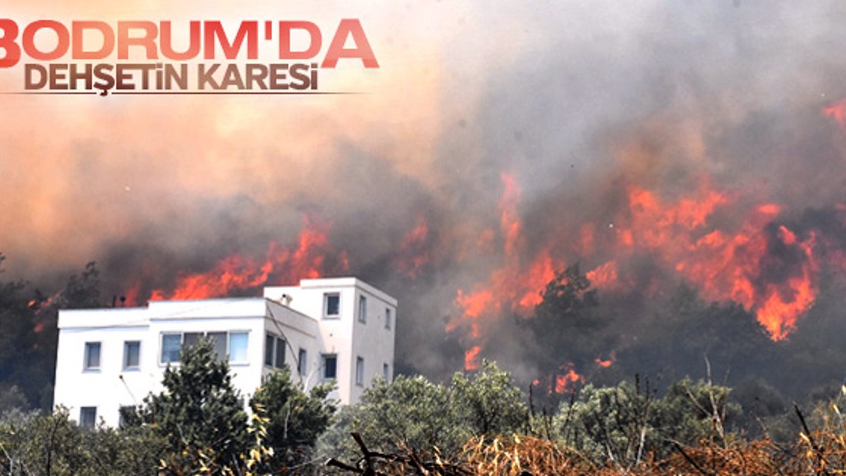 Bodrum'da yangın vatandaşları korkuttu