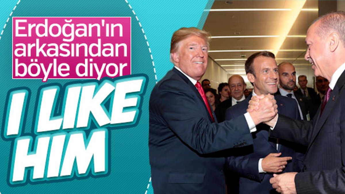 Trump'tan Erdoğan'a: Onu severim