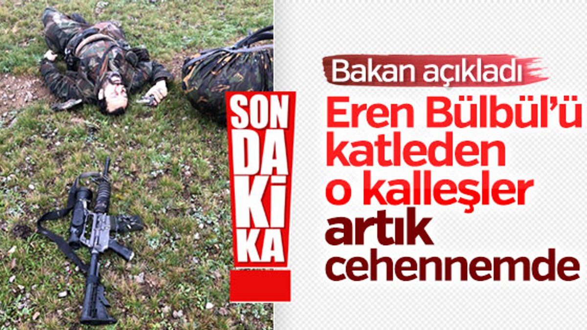 Eren Bülbül'ü şehit eden teröristler öldürüldü