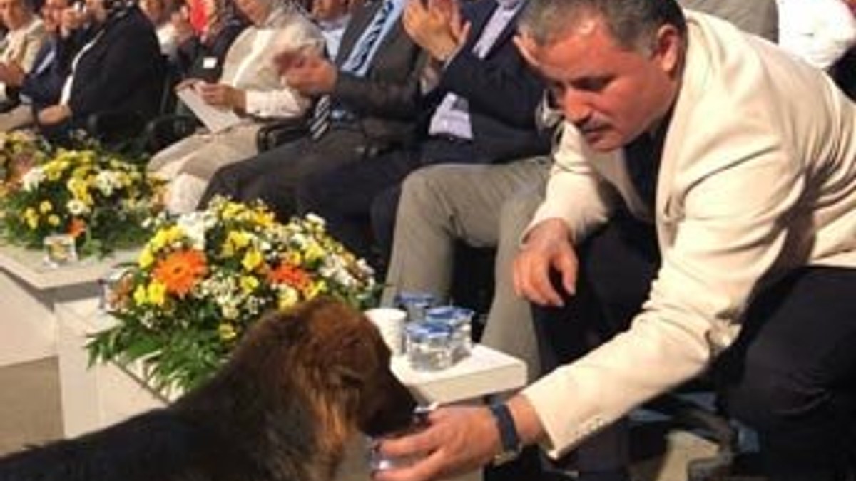 Milletvekili Çakır, kendi suyunu sokak köpeğine içirdi