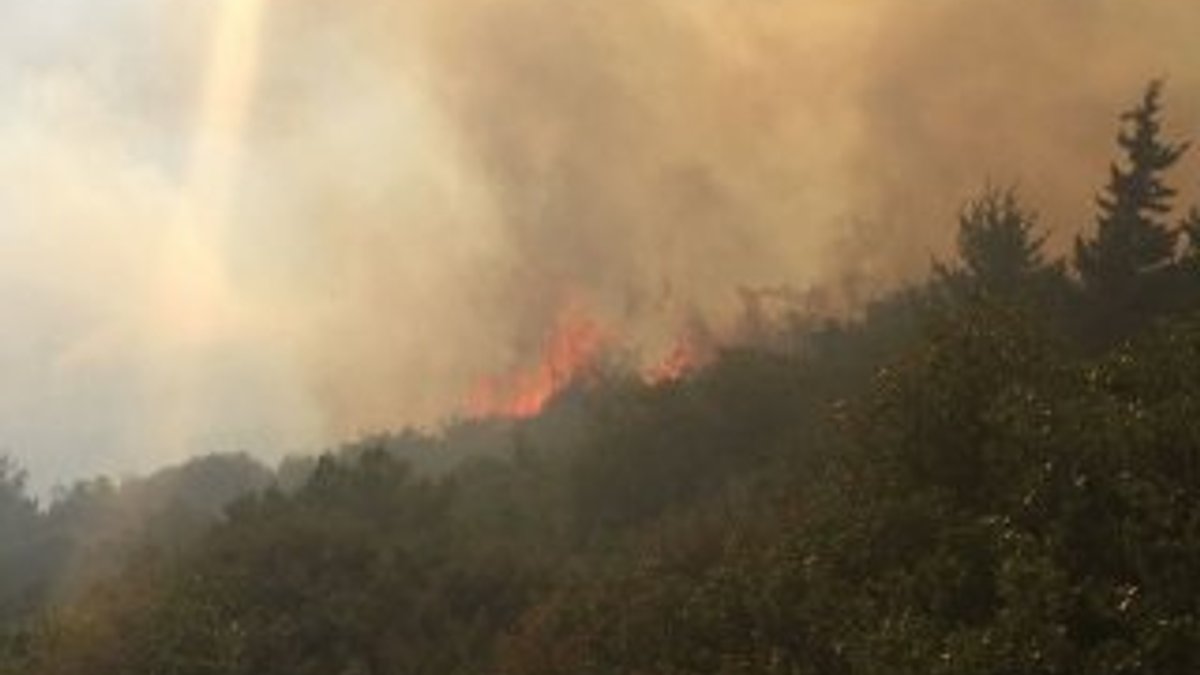 Amanos Dağları'nda orman yangını