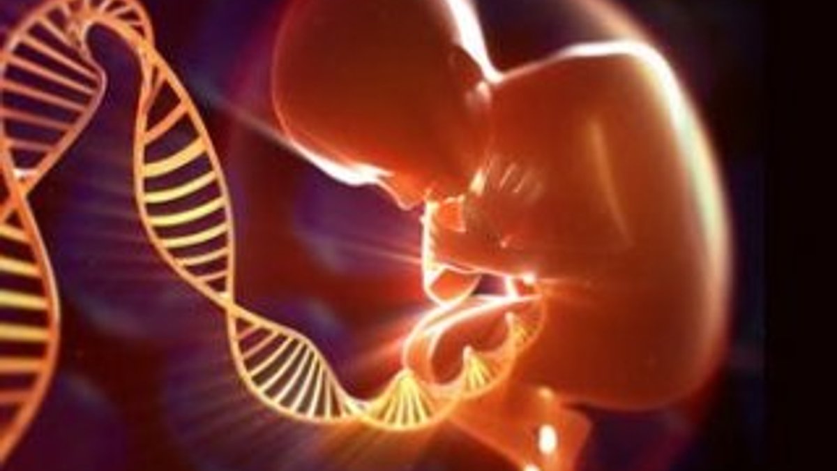 İnsan embriyosu genetik olarak değiştirilebilecek