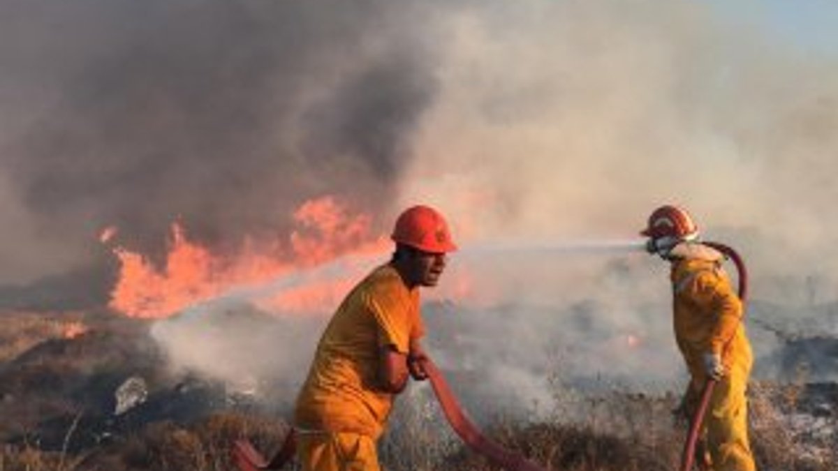 Bodrum'da çıkan yangında 40 hektar kül oldu