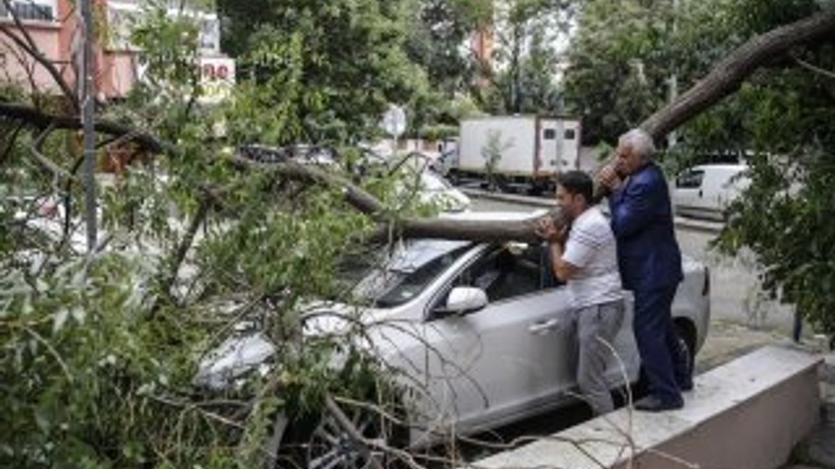 Ankara'da şiddetli rüzgar ağaçları devirdi