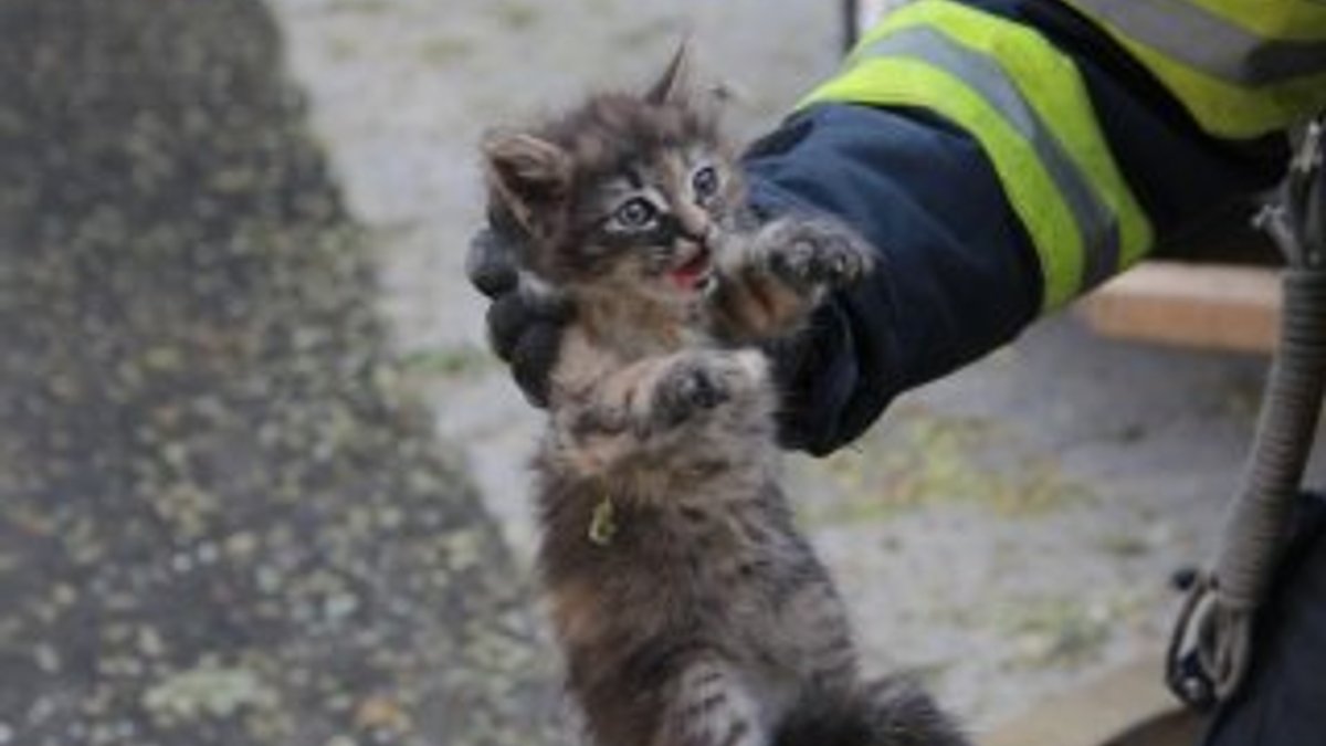 Motora sıkışan yavru kedi kurtarıldı