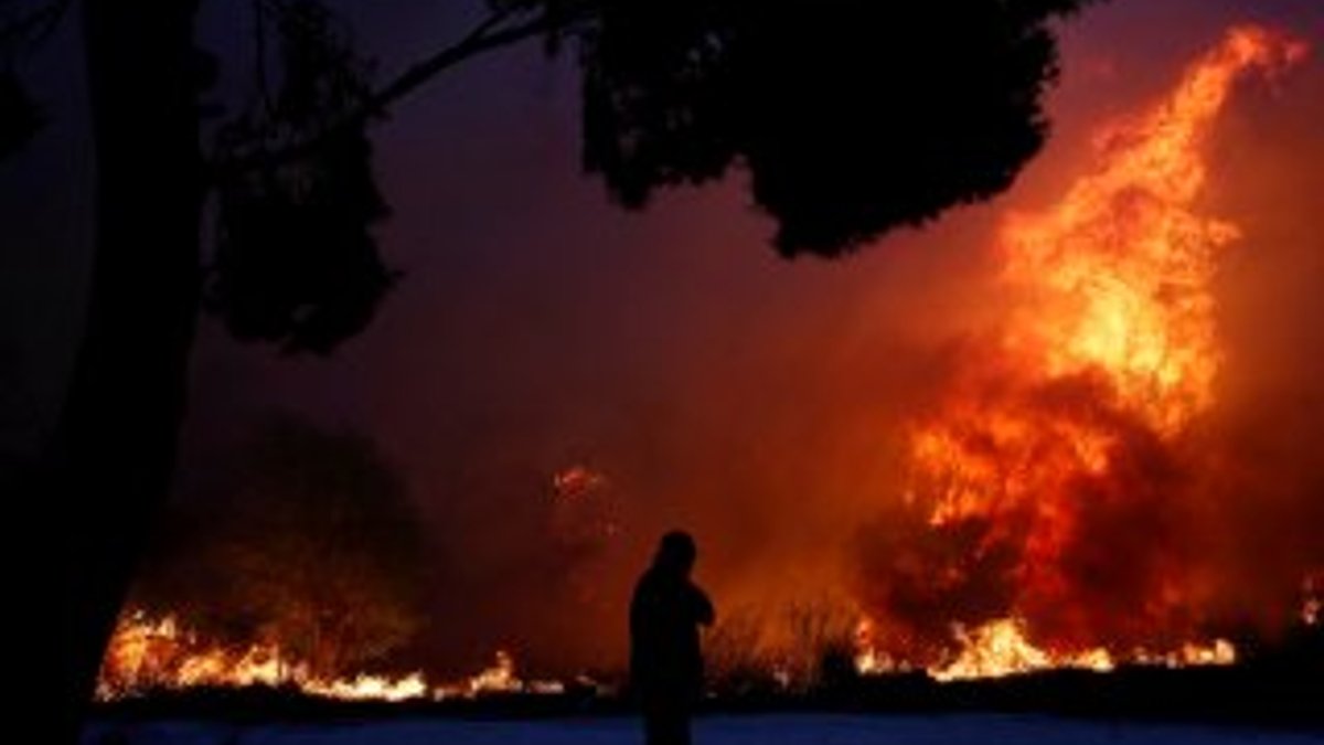 Yunanistan'daki yangının nedeni belli oldu