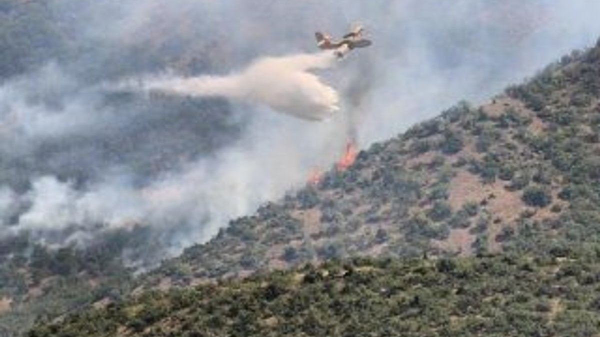 Tunceli'de 3 gündür süren yangın söndürüldü