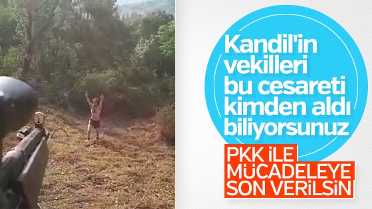 HDP, PKK operasyonlarının karşısında