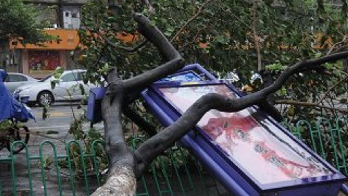 Çin'de çıkan tayfun için mavi alarm verildi