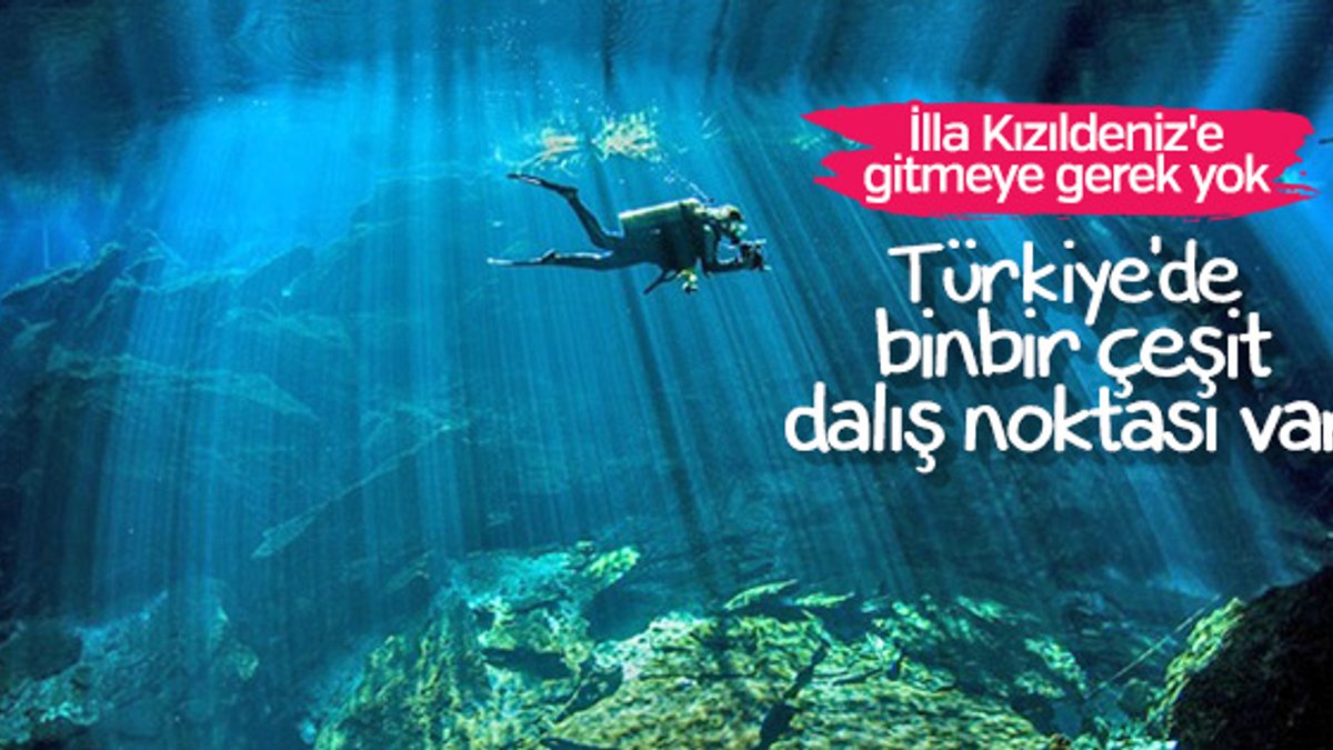 Türkiye'nin en iyi dalış noktaları