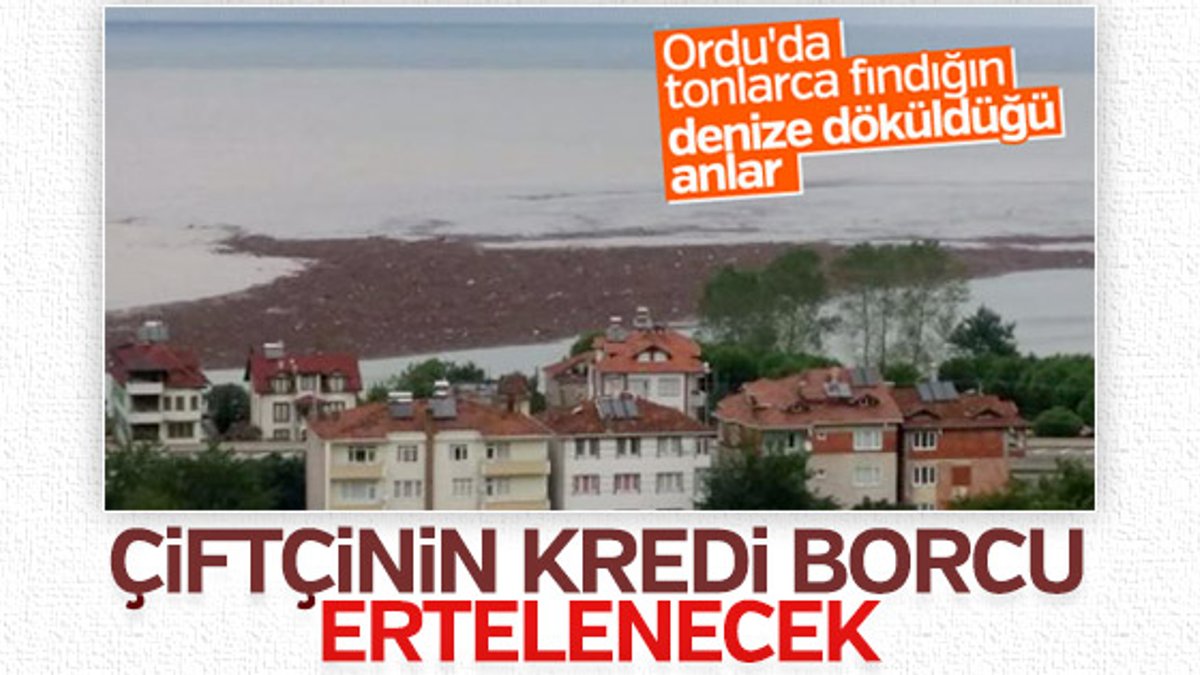 Tarım Bakanlığı'ndan Ordu'daki çiftçiler için açıklama