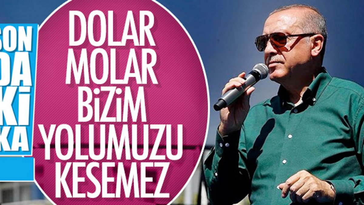 Başkan Erdoğan'dan döviz ve altınları bozdurun çağrısı