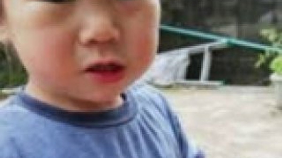 2 yaşındaki Japon çocuk 3 gün sonra ormanda sağ bulundu