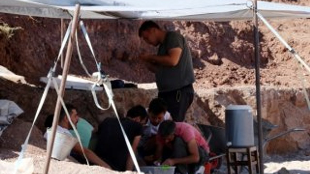 Çankırı'da 15 türde 140 parça fosile ulaşıldı