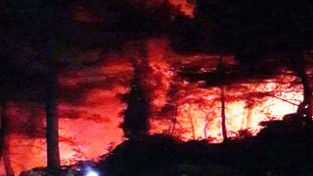 Muğla'da düğünden atılan havai fişek ormanı yaktı