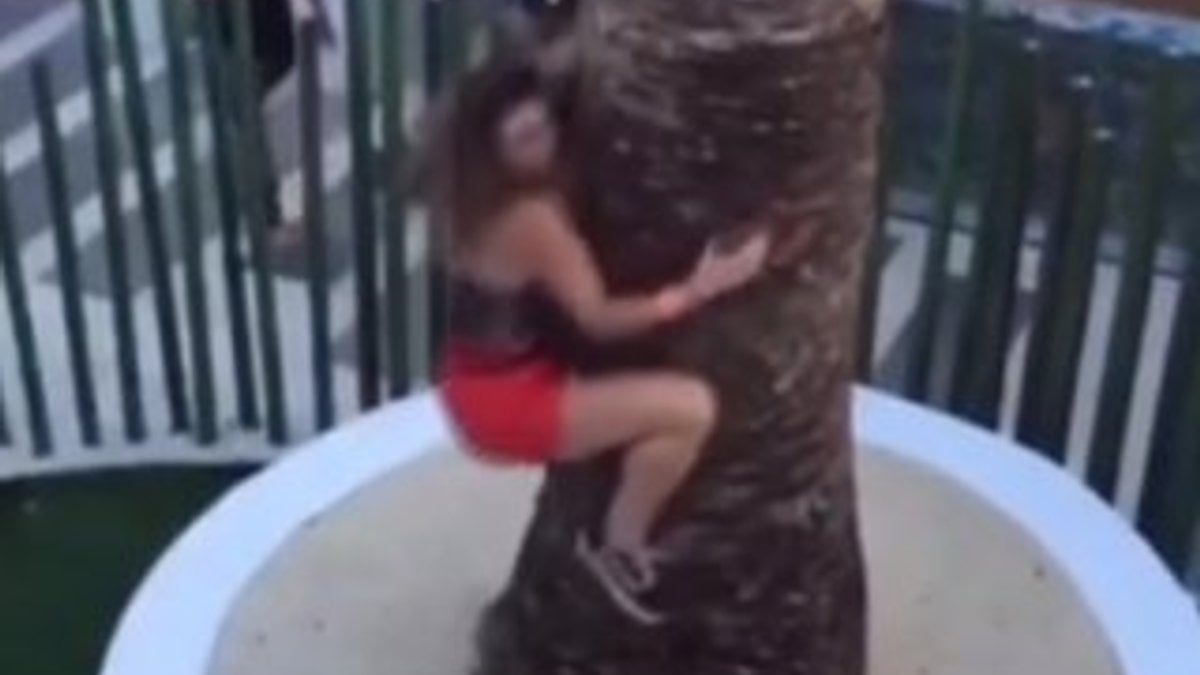 Sosyal medya için mini etekle ağaca tırmanan kız
