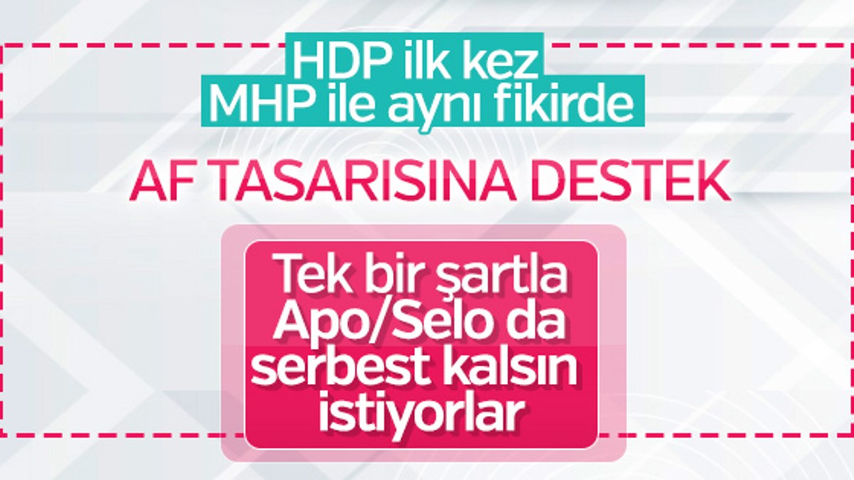 HDP'li Gergerlioğlu genel af çağrısı yaptı