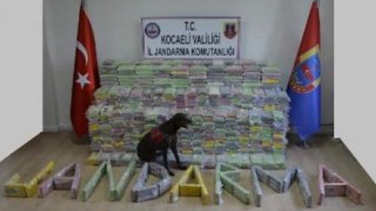 Kocaeli'de 800 kilo kokain ele geçirildi