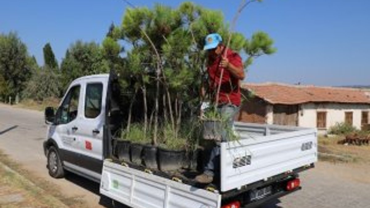 Turgutlu’nun kırsal mahalleleri ağaçlandırılıyor