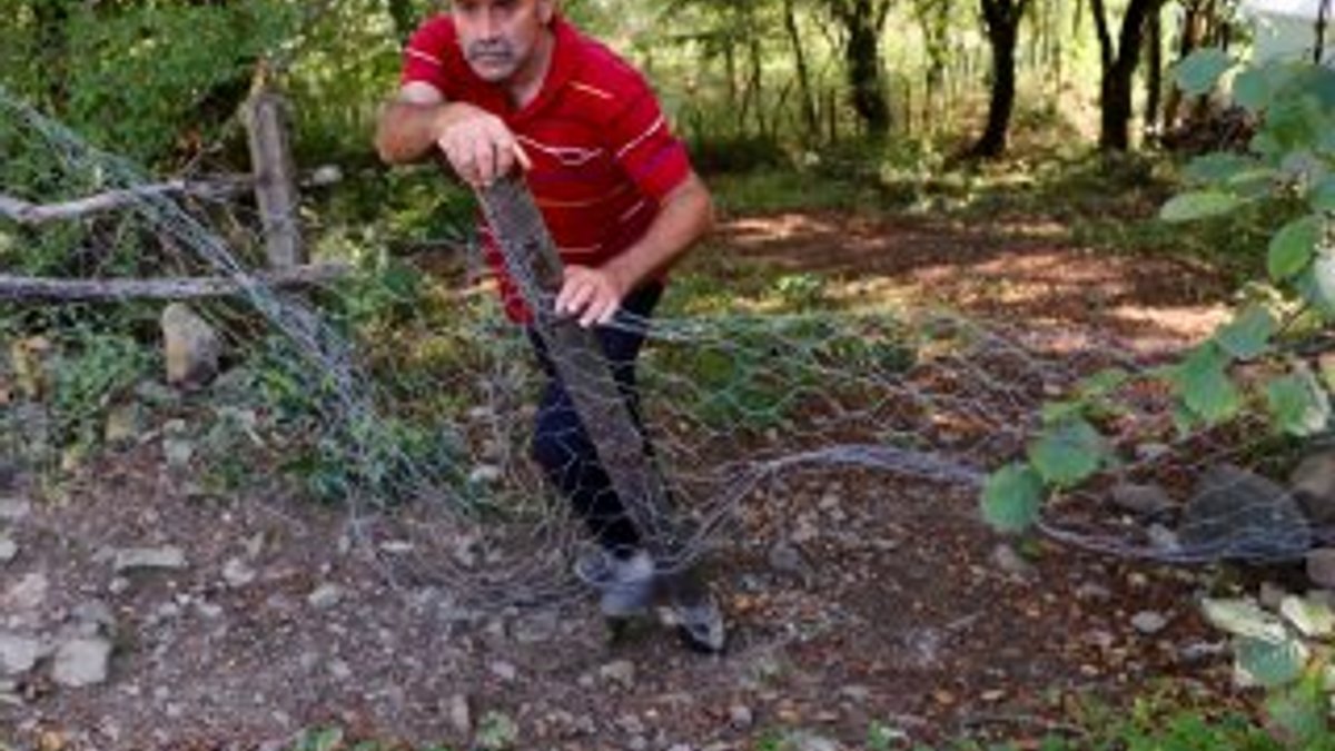 Trabzon'da baba-oğul arasındaki dava yargıya taşındı