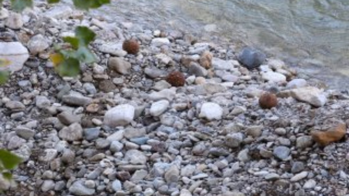 Bayburt'ta 58 patlamamış top mermisi bulundu