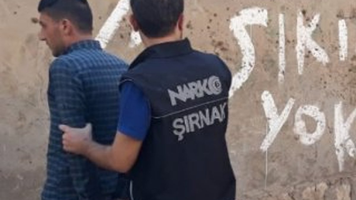 Şırnak’ta uyuşturucu operasyonu: 21 gözaltı