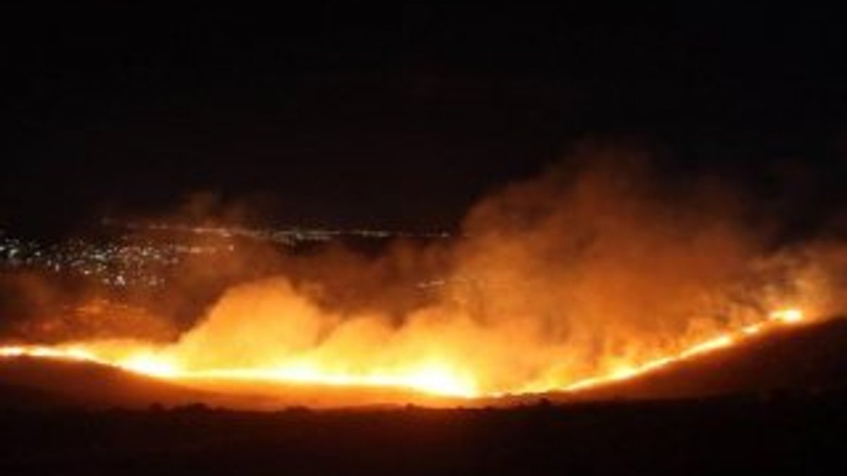 Bodrum'da yangın: 40 hektar kül oldu