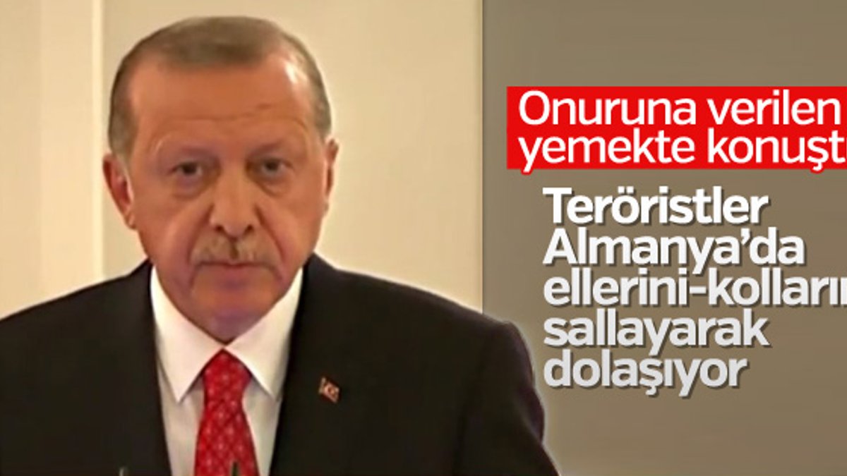 Başkan Erdoğan: Teröristler Almanya'da dolaşıyor