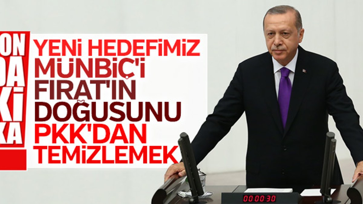 Başkan Erdoğan: Terör örgütlerinin tepesine bindik