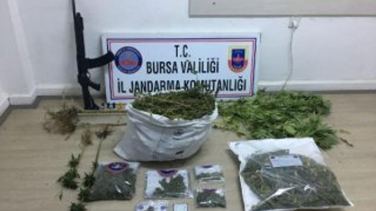Bursa'da jandarma 5 kilo esrar yakaladı