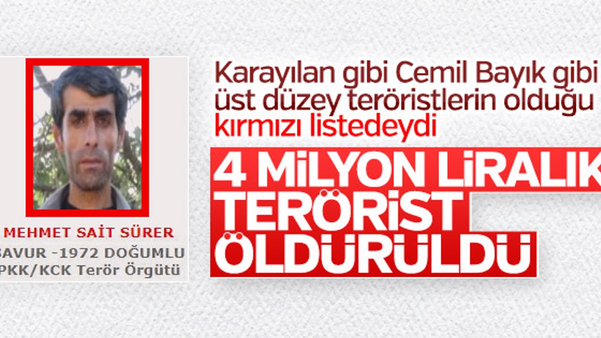 Mardin'de kırmızı listedeki terörist öldürüldü