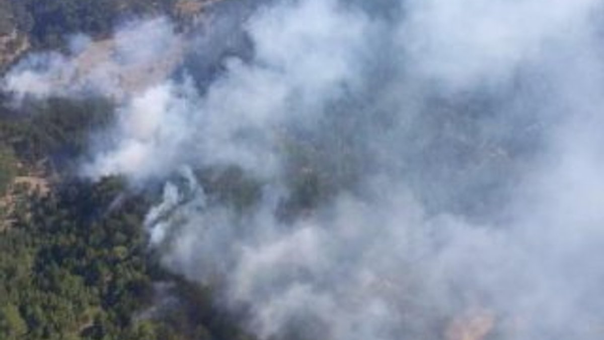 Denizli'de karaçam ormanında 6 farklı noktada yangın çıktı