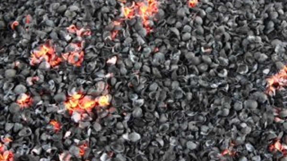 Fındık kabuğundan mangal kömürü üretiliyor