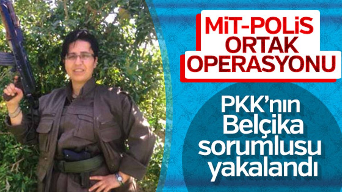PKK'nın sözde Belçika sorumlusu Batman'da yakalandı