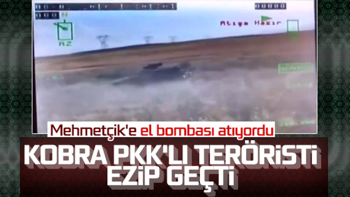 Ağrı'da el bombası atan PKK'lı terörist öldürüldü