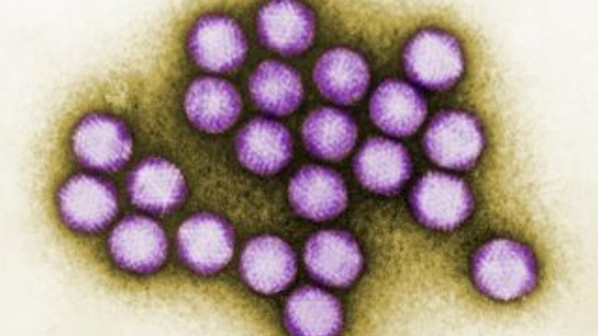ABD'deki virüs salgını: 6 çocuk öldü