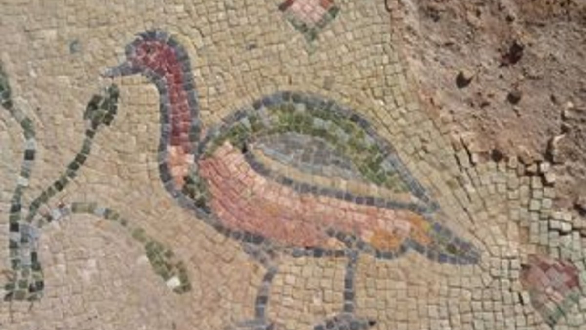Doğu Roma Dönemi'ne ait  taban mozaiği bulundu