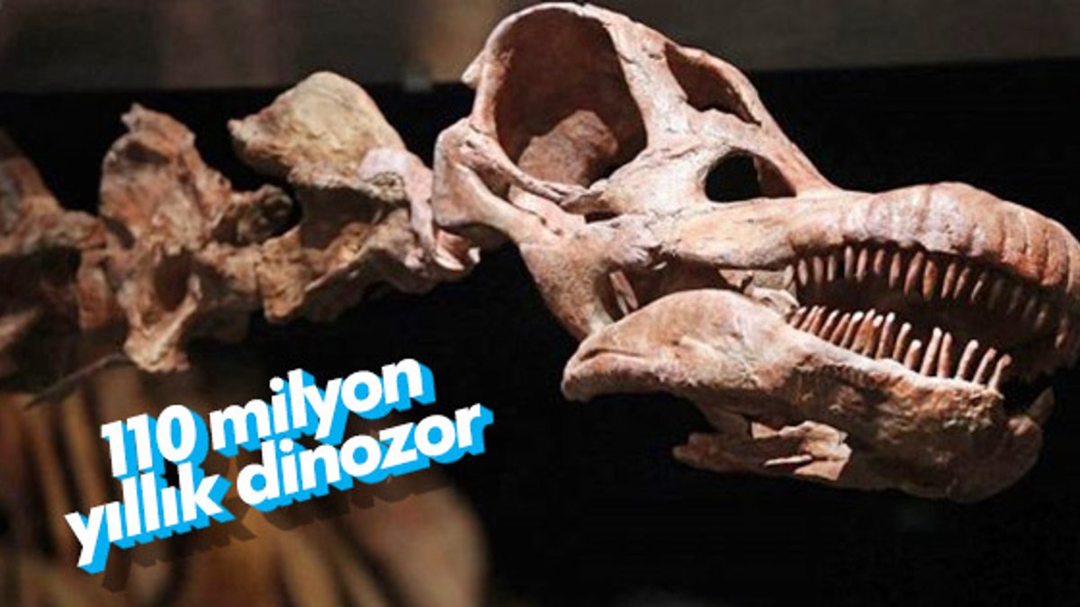 Arjantin’de yeni bir dinozor türü bulundu