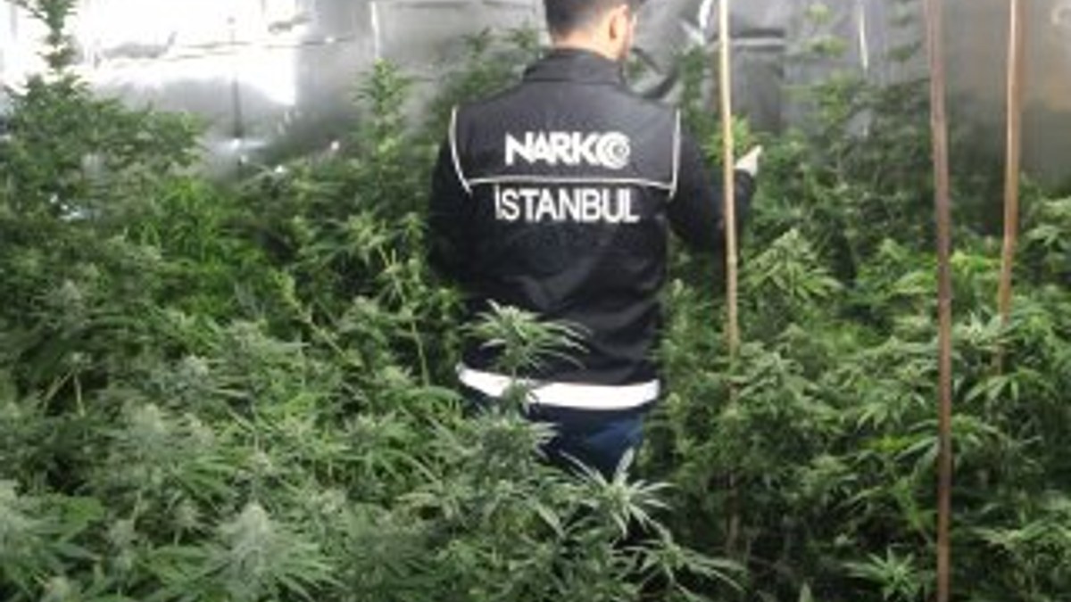 İstanbul'da uyuşturucuya darbe