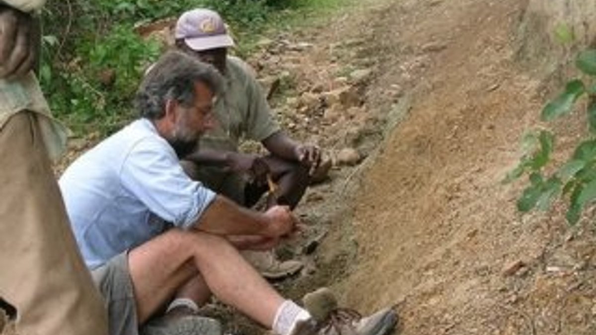 Kenya'da, yaşamış en küçük maymun fosili bulundu